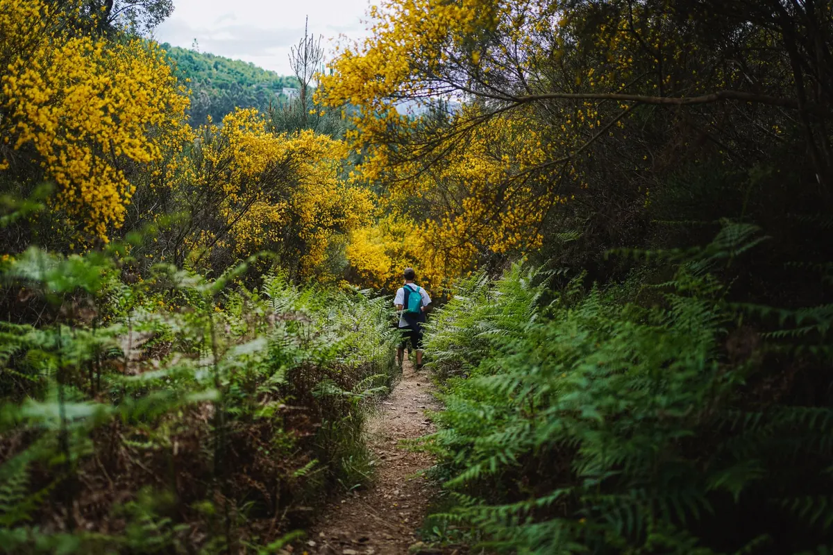 Day Hiking for Absolute Beginners: What to Wear, Carry, and Expect